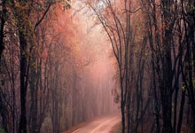 Kaiyun:世界排名超过早田希娜,16岁小将张本美和成日本女乒新“一姐”环球时报.