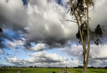 27三分创队史纪录!步行者狂轰162分吊打奇才 哈利29分引9人上双.