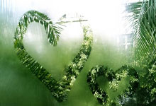 图片报:若引进谢尔基成本过高,多特将视尼潘为头号引援对象.